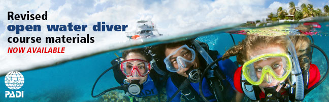 Revised PADI Open Water Course